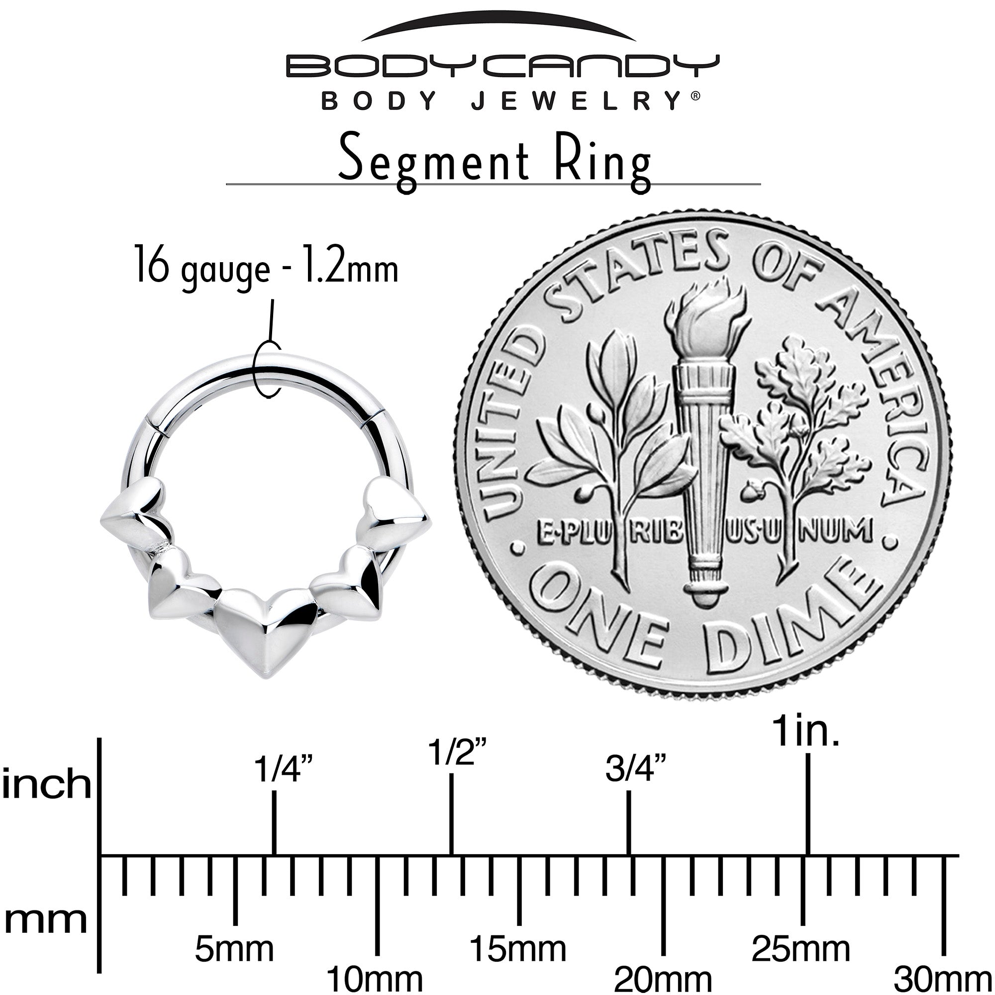 16G 5/16 3D Hearts Hinged Segment Ring